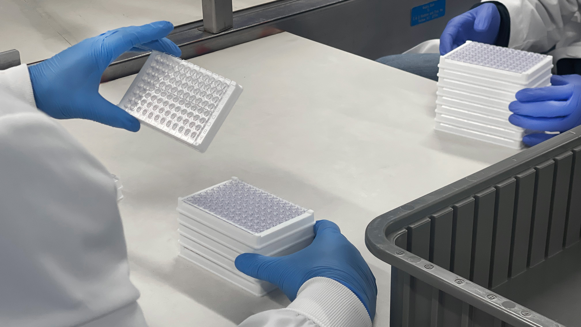 microelisa plate inspections